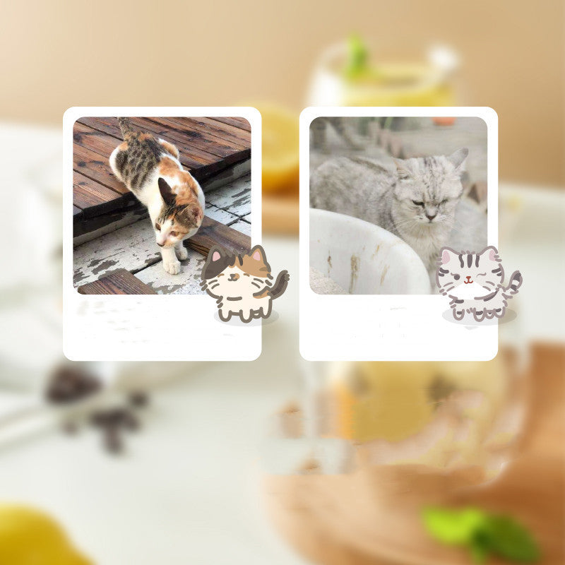 Cute Cartoon Glass Coffee Tea Cup